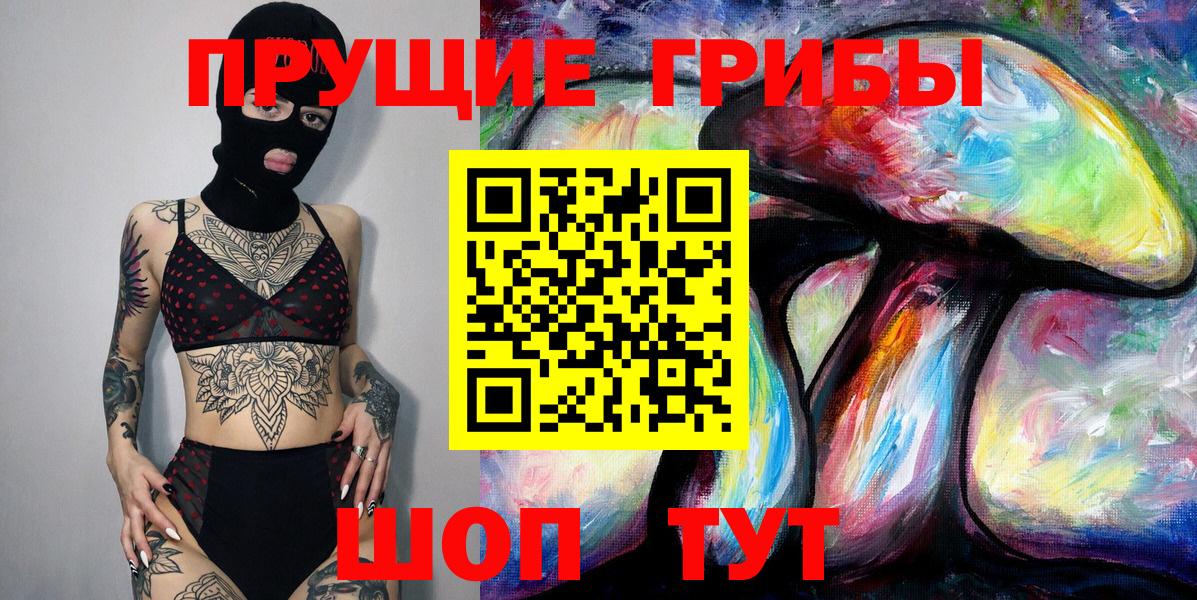 Кашира  Псилоцибиновые грибы Psilocybe  Вход с VPN 